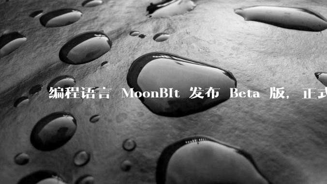 编程语言 MoonBit 发布 Beta 版，正式进入企业场景应用，会带来哪些影响？