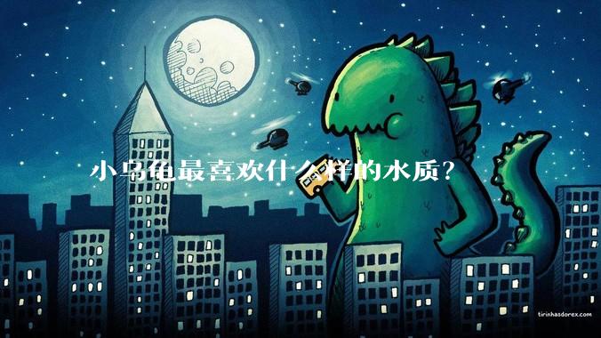 小乌龟最喜欢什么样的水质？
