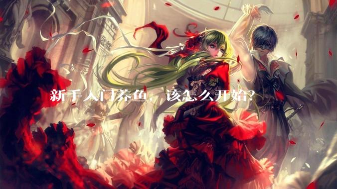 新手入门养鱼，该怎么开始？