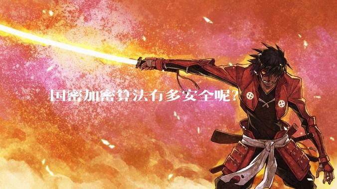 国密加密算法有多安全呢？