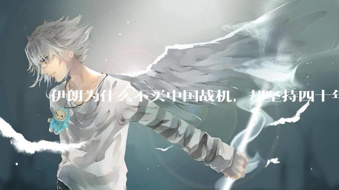 伊朗为什么不买中国战机，却坚持四十年用老旧的苏联米格29、美国F14雄猫战斗机?
