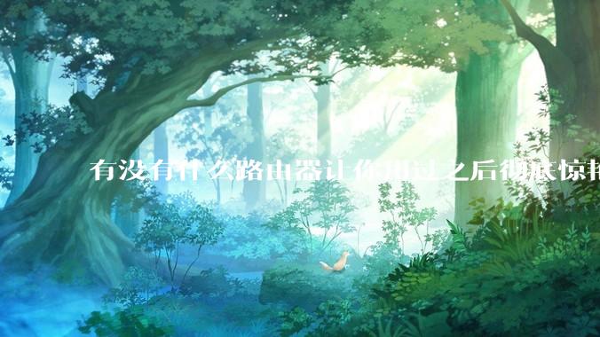 有没有什么路由器让你用过之后彻底惊艳了？