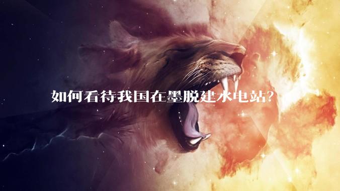 如何看待我国在墨脱建水电站？